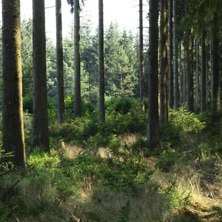 Scenic In Rahier, Cleaning Included