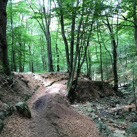 Scenic In Rahier, Cleaning Included Holiday home Stoumont