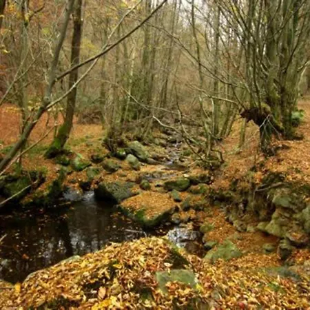 Scenic In Rahier, Cleaning Included Stoumont